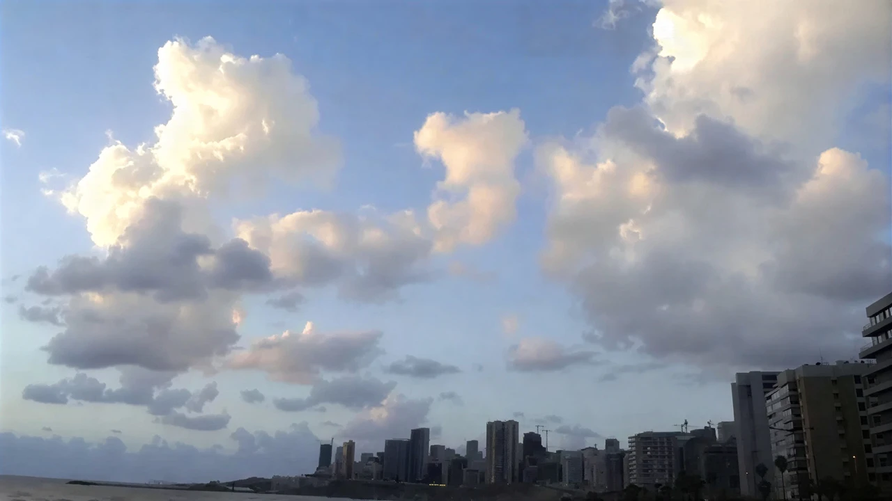 تحذير من موجة صقيع تضرب المزروعات وسط أجواء شديدة البرودة غداً